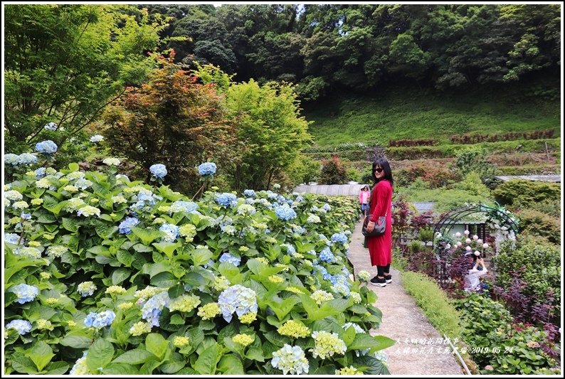 大梯田花卉生態農園-2019-05-023.jpg