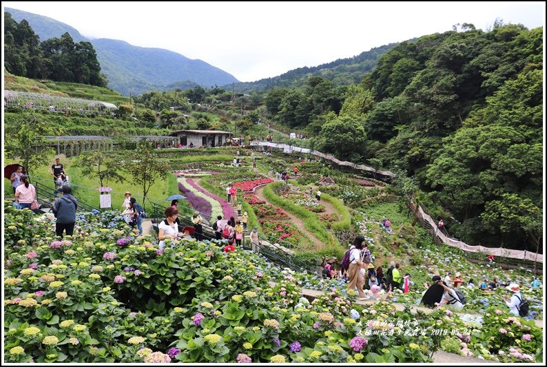 大梯田花卉生態農園-2019-05-040.jpg