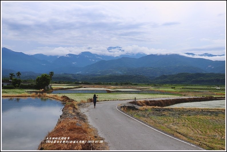 193青農禾音樂埕(松浦天堂路)-2019-07-17.jpg