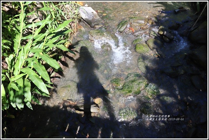 玉龍泉生態步道-2019-08-18.jpg