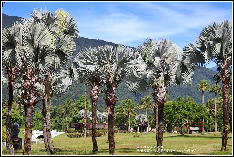 兆豐休閒農場(渡假村)-2019-08-26.jpg