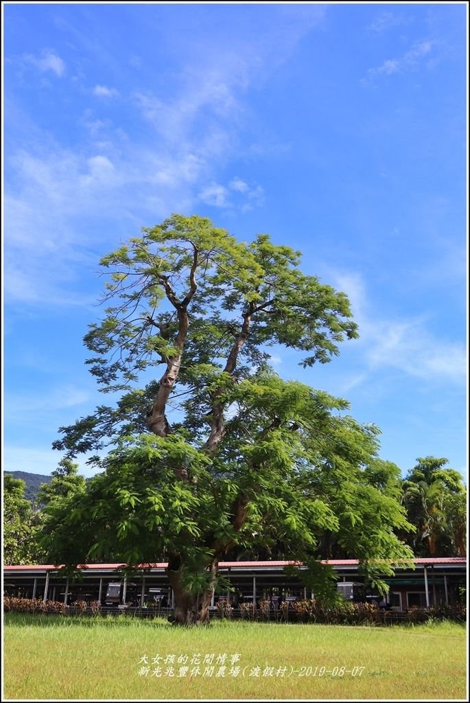 兆豐休閒農場(渡假村)-2019-08-33.jpg