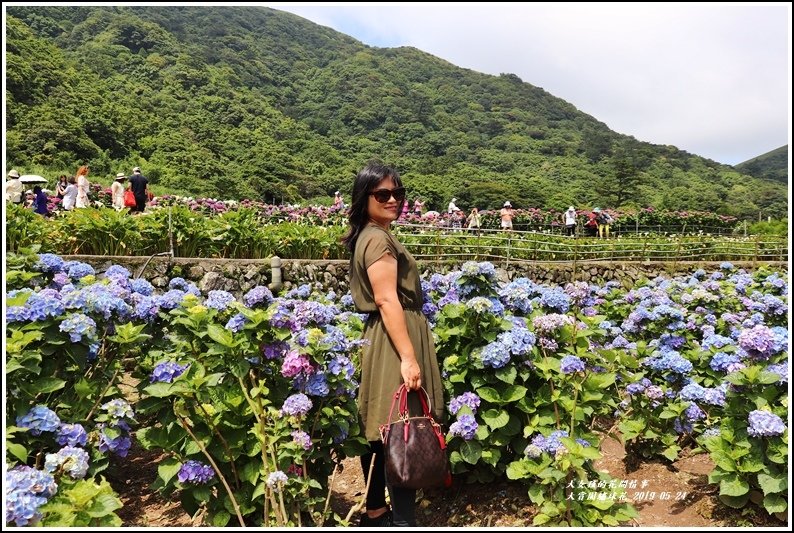 大賞園繡球花(竹子湖)-2019-05-21.jpg