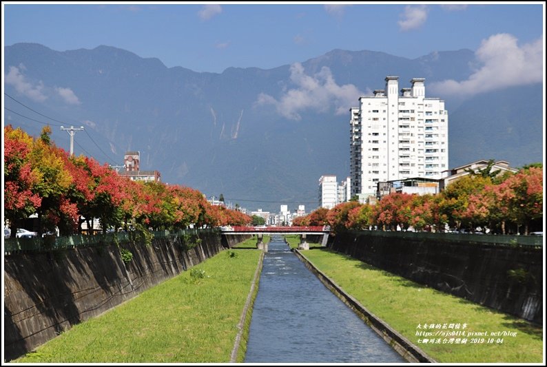 七腳川溪台灣欒樹-2019-10-03.jpg