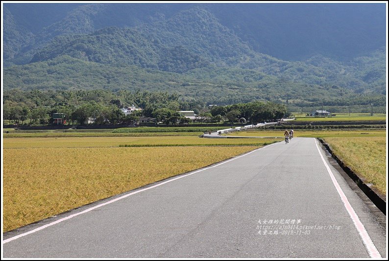 池上天堂之路-2019-11-01.jpg