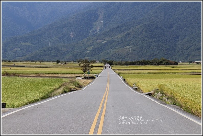 池上伯朗大道-2019-11-12.jpg