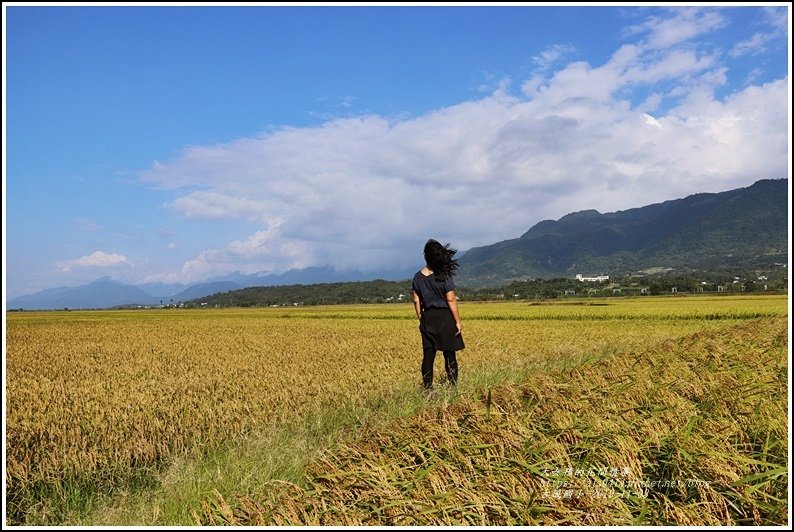 卓富公路(花75線)-2019-11-35.jpg