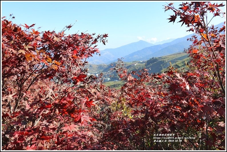 梨山楓之谷-2019-10-03.jpg