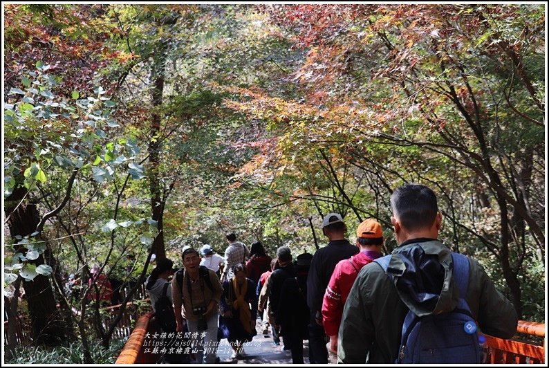 江蘇南京棲霞山-2019-11-53.jpg
