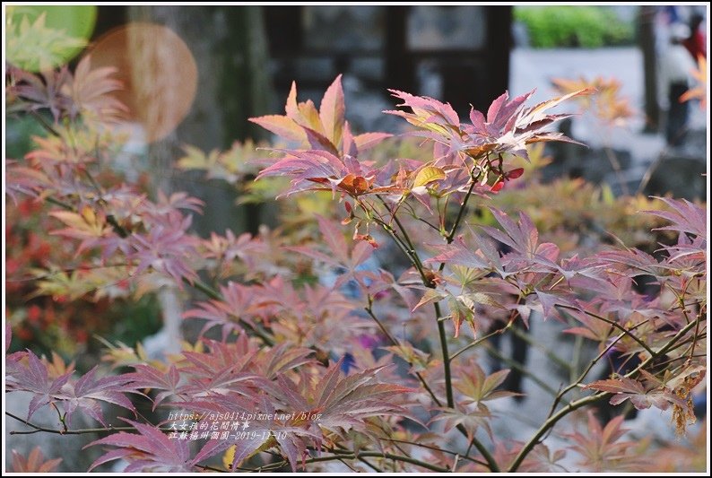 江蘇南京揚州個園-2019-11-60.jpg