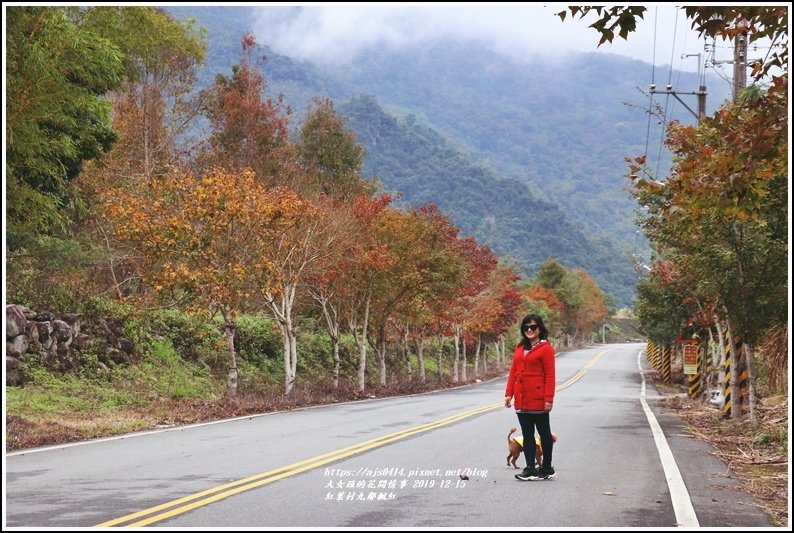 紅葉九鄰楓紅-2019-12-20.jpg