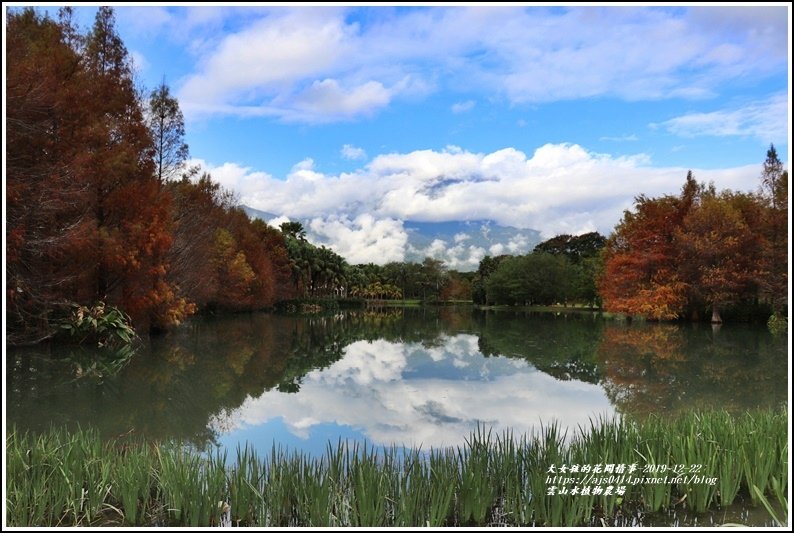 雲山水植物農場-2019-12-05.jpg