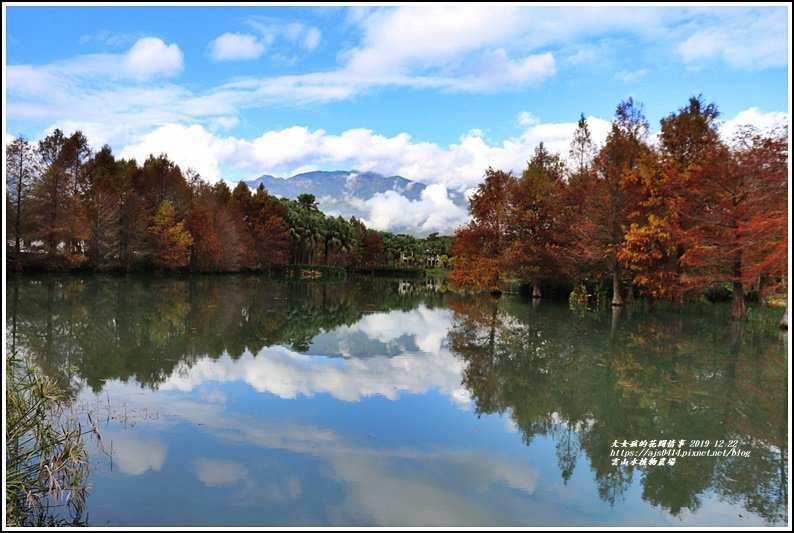 雲山水植物農場-2019-12-07.jpg