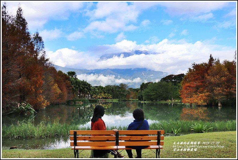 雲山水植物農場-2019-12-01.jpg