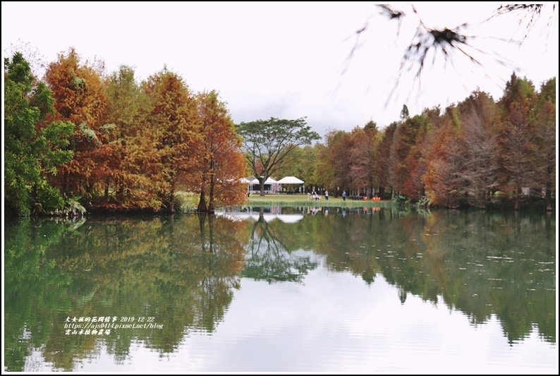 雲山水植物農場-2019-12-28.jpg