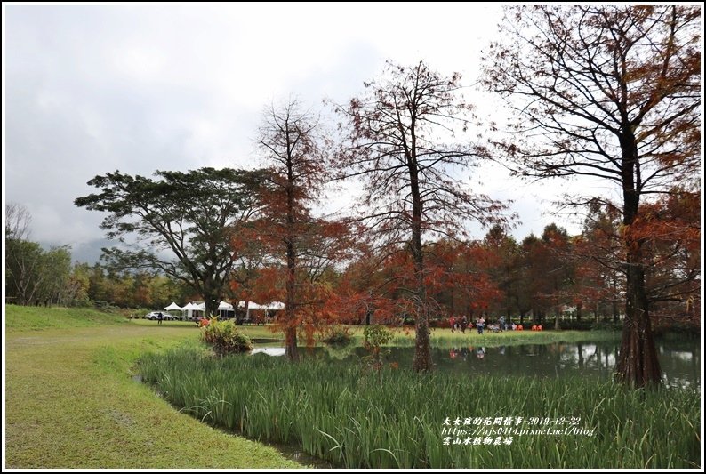 雲山水植物農場-2019-12-45.jpg