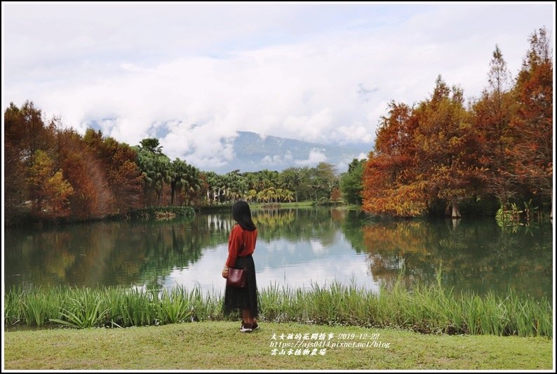 雲山水植物農場-2019-12-48.jpg