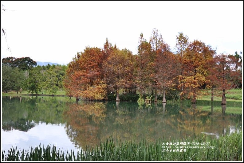 雲山水植物農場-2019-12-51.jpg