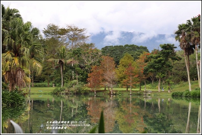 雲山水植物農場-2019-12-57.jpg