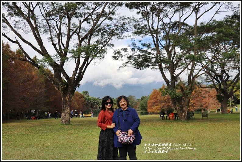 雲山水植物農場-2019-12-70.jpg