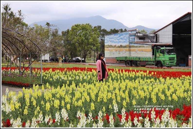 池上四季花海-2020-01-36.jpg