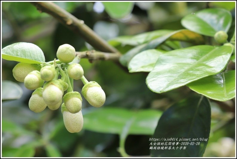 鶴岡梧繞部落大十字架-2020-02-51.jpg