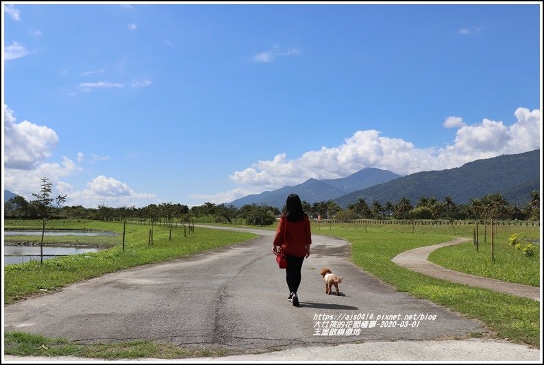 玉里啟模濕地-2020-03-36.jpg