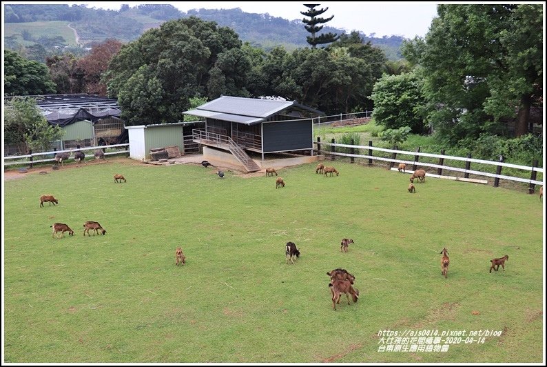 台東原生應用植物園-2020-04-37.jpg