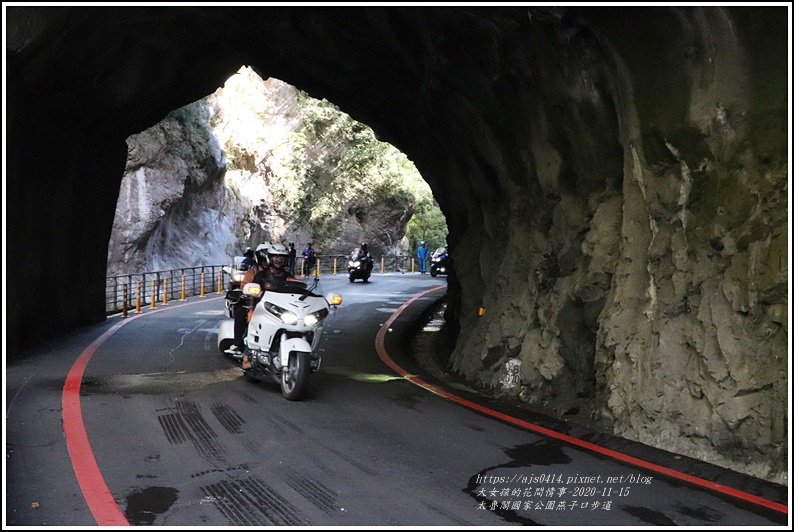 燕子口步道(太魯閣國家公園)-2020-11-43.jpg