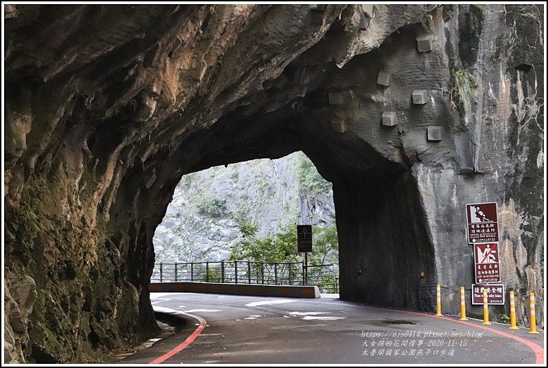 燕子口步道(太魯閣國家公園)-2020-11-31.jpg