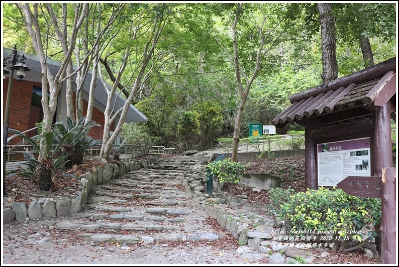 太魯閣國家公園綠水步道-2020-11-03.jpg