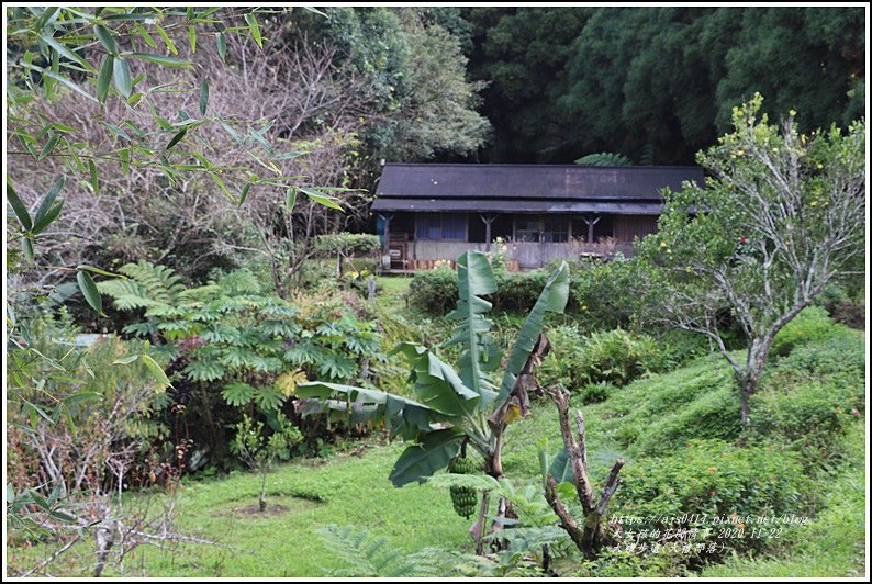 大禮步道(大禮部落)-2020-11-83.jpg