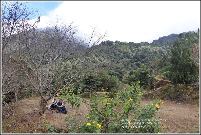 大禮步道(大禮部落)-2020-11-81.jpg