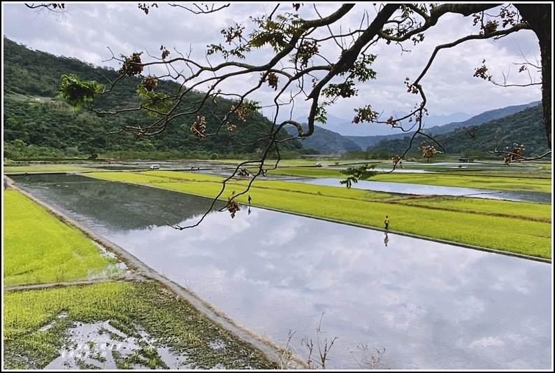 南安油菜花田-2021-01-59.jpg