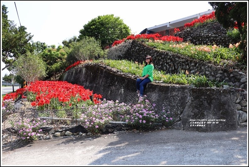 富里石牌孤挺花-2021-04-54.jpg