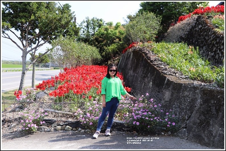 富里石牌孤挺花-2021-04-58.jpg