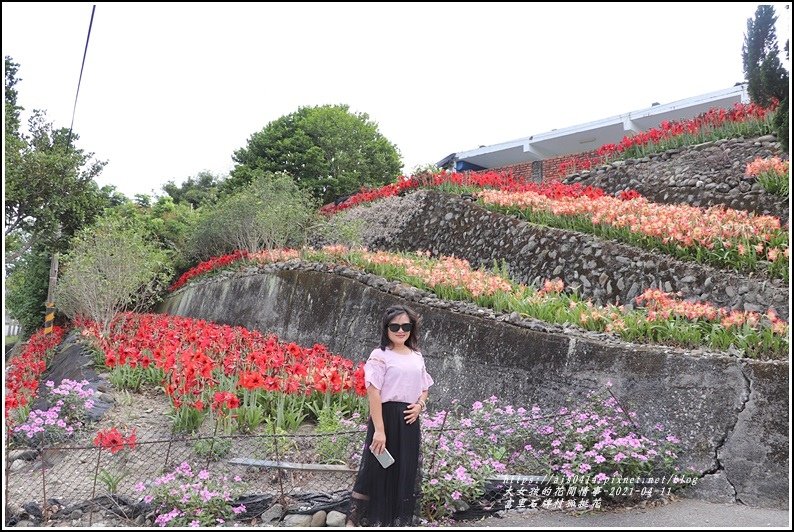 富里石牌孤挺花-2021-04-73.jpg