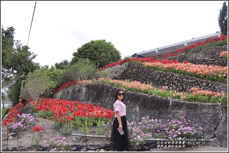 富里石牌孤挺花-2021-04-75.jpg
