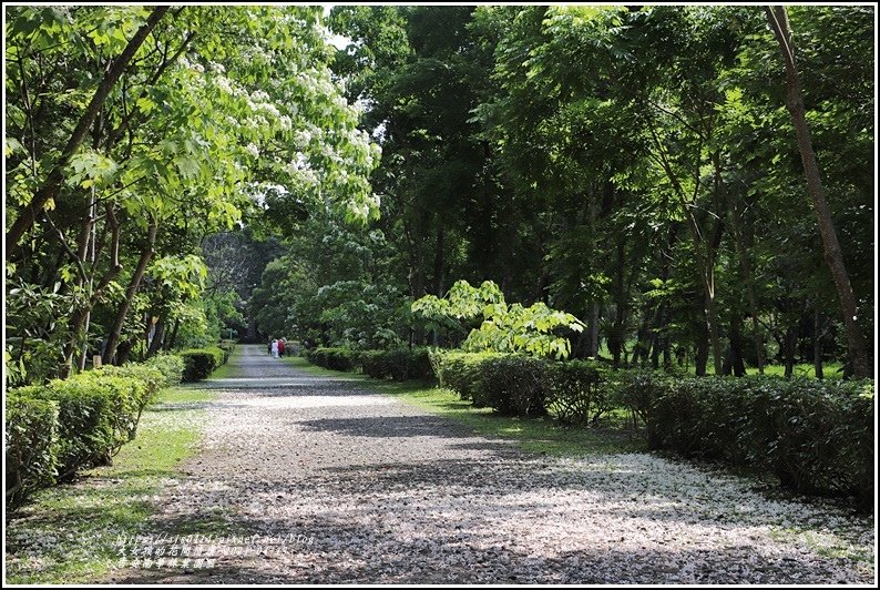 吉安南華林業園區-2021-04-21.jpg