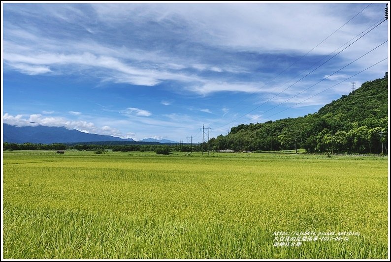 瑞穗祥北路-2021-06-01.jpg