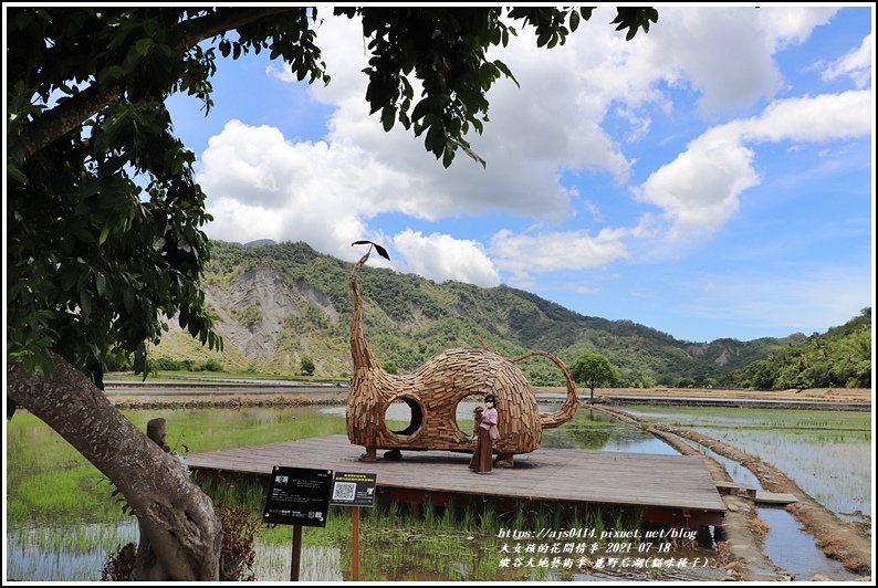 縱谷大地藝術季-鹿野后湖(貓咪種子)-2021-07-04.jpg