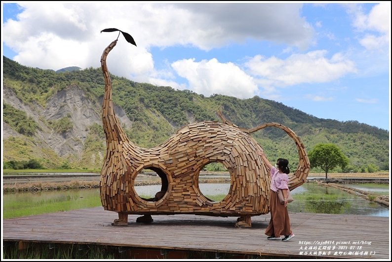 縱谷大地藝術季-鹿野后湖(貓咪種子)-2021-07-06.jpg