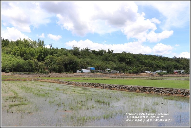 縱谷大地藝術季-鹿野后湖(貓咪種子)-2021-07-12.jpg