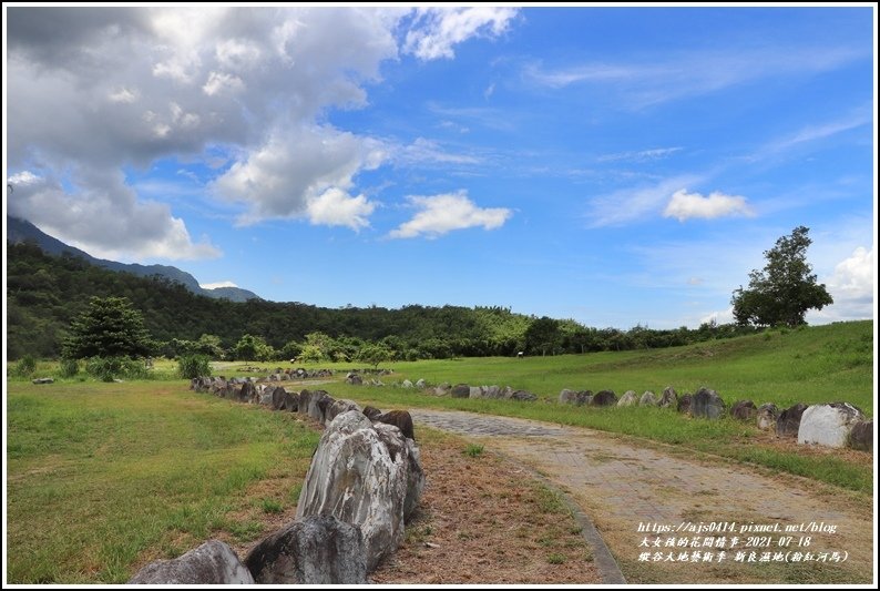 縱谷大地藝術季-新良濕地(粉紅河馬)-2021-07-09.jpg