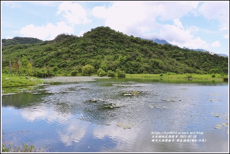 縱谷大地藝術季-新良濕地(粉紅河馬)-2021-07-16.jpg