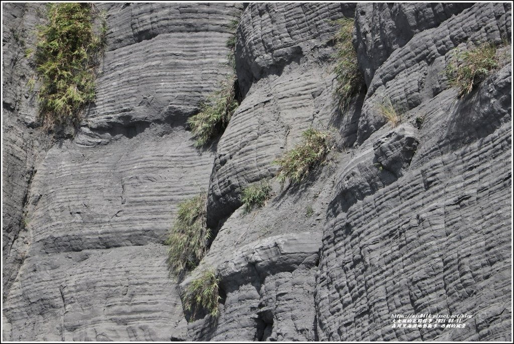 森川里海濕地藝術季(過剩的風景)-2021-08-12.jpg