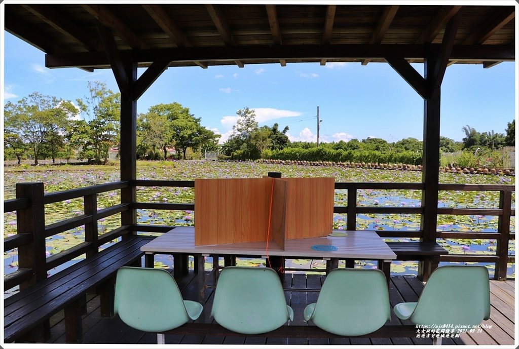 花蓮吉安蓮城蓮花園-2021-09-08.jpg