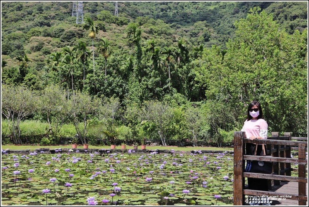 花蓮吉安蓮城蓮花園-2021-09-12.jpg