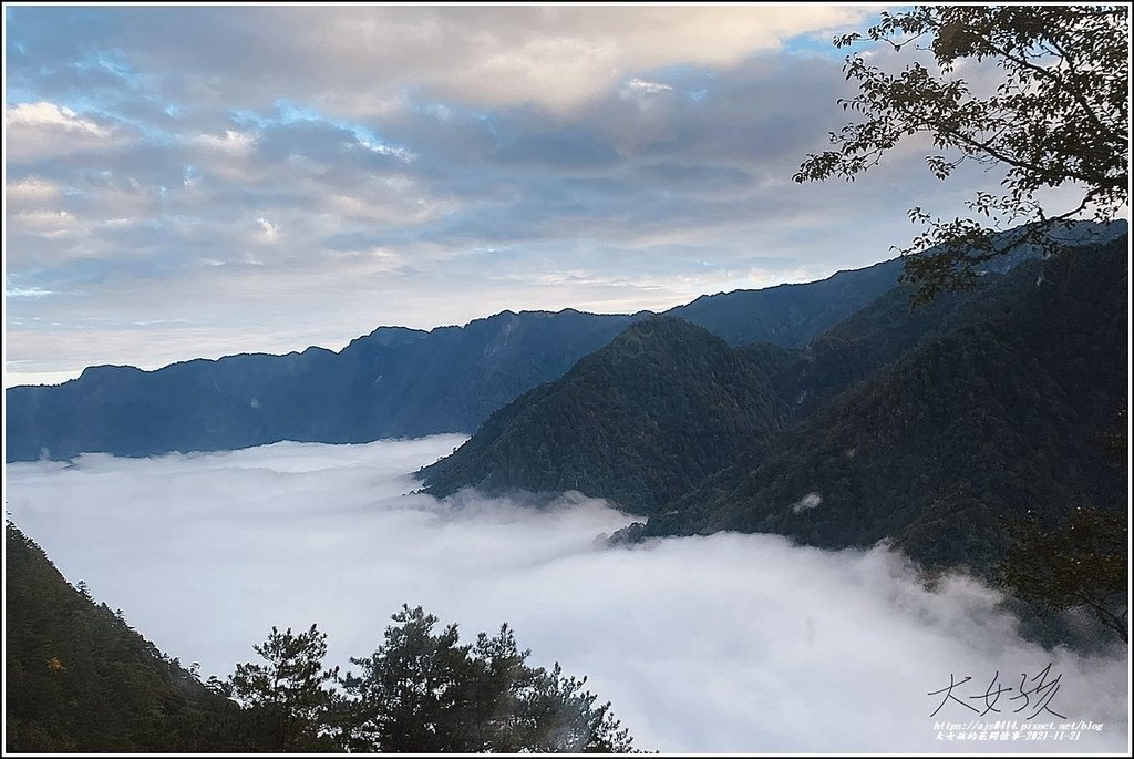 中橫雲海-2021-11-03.jpg