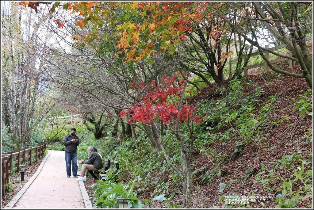 福壽山農場鴛鴦湖-2021-11-62.jpg